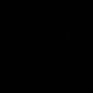 Meet your Posher, Ayan